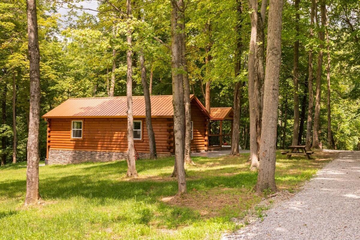 Secluded Wooded Cabin Near The Hocking Hills New Straitsville エクステリア 写真